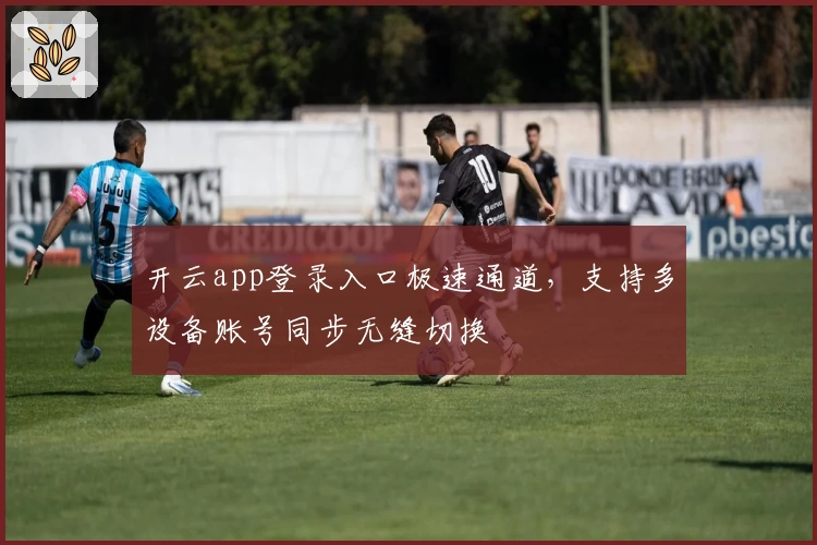 开云app登录入口极速通道，支持多设备账号同步无缝切换