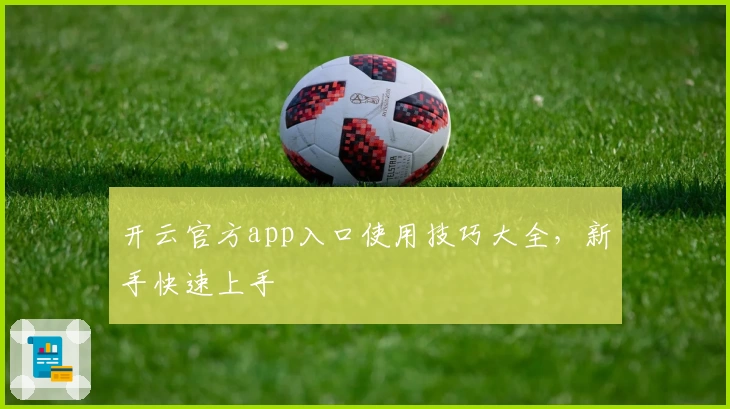 开云官方app入口使用技巧大全，新手快速上手